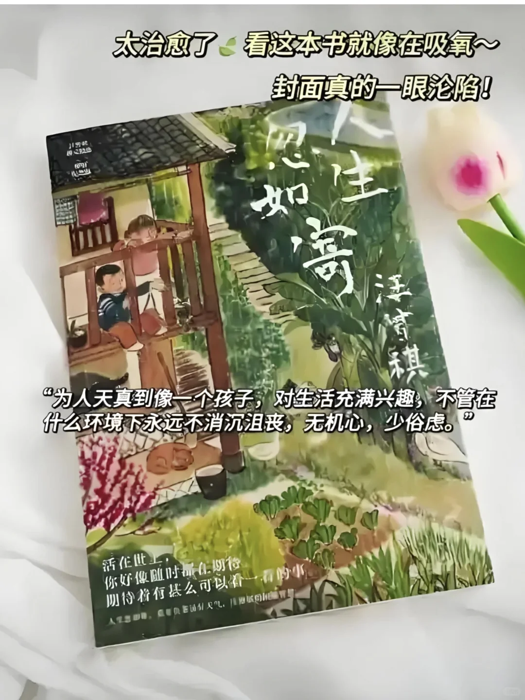 一定要读的书，央视都强烈推荐📚