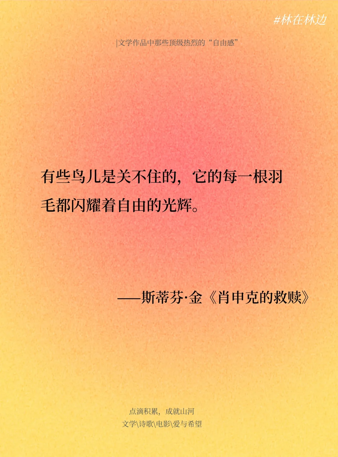 文学作品中那些顶级热烈的“自由感”~~