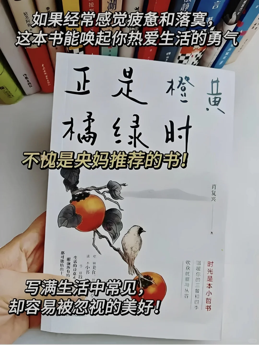 一定要读的书，央视都强烈推荐📚