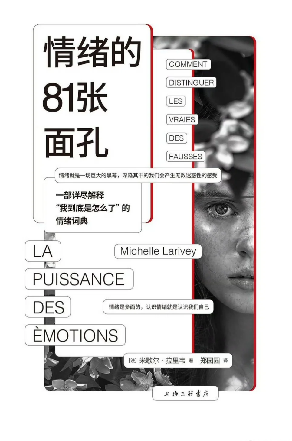 📚《情绪的 81 张面孔》 pdf 电子书