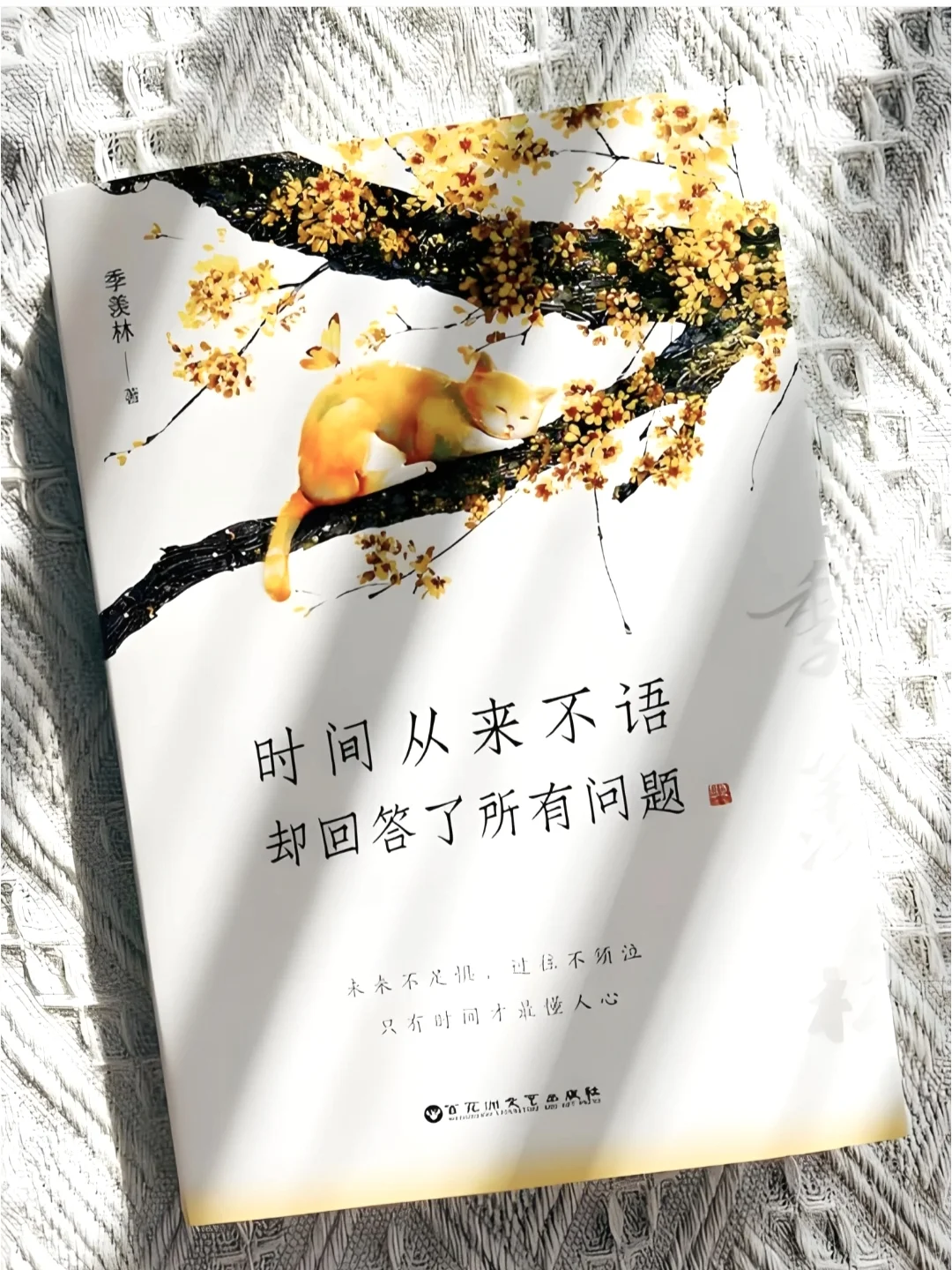 一定要读的书，央视都强烈推荐📚