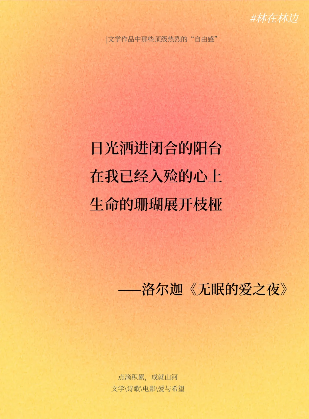 文学作品中那些顶级热烈的“自由感”~~