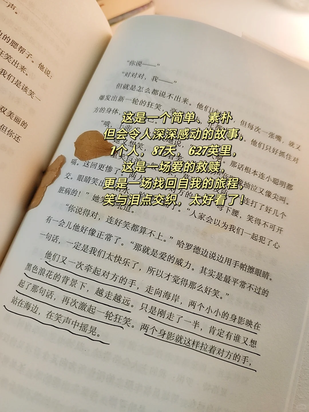 Pdd｜最近特别触动我的几本书！