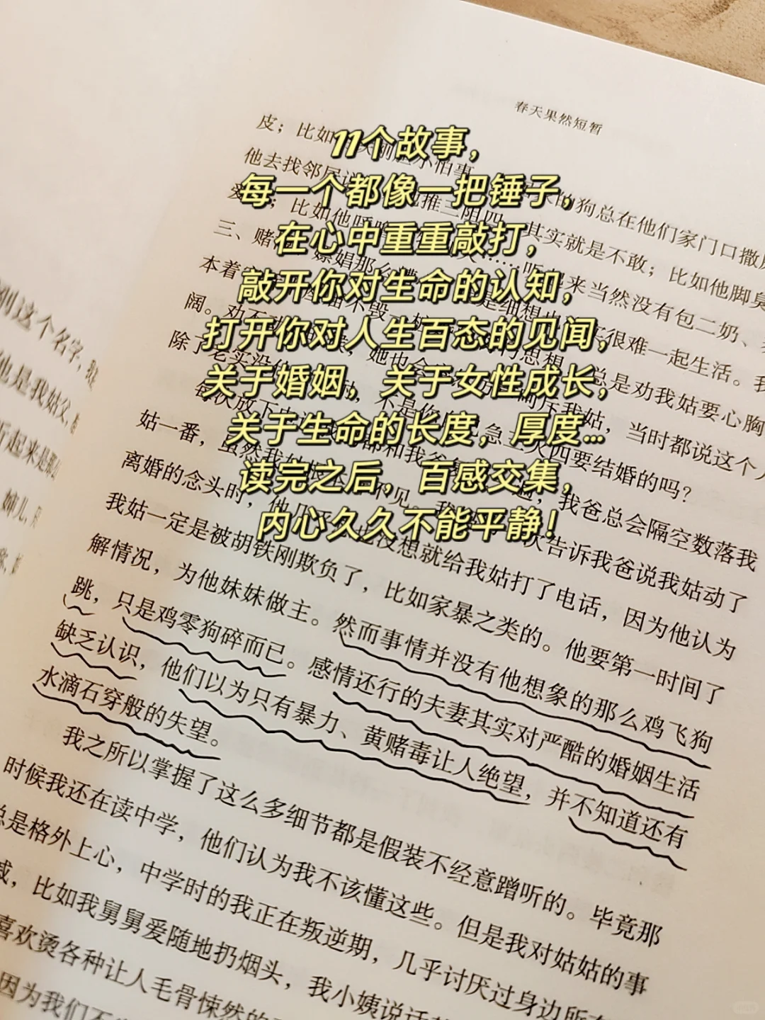 Pdd｜最近特别触动我的几本书！