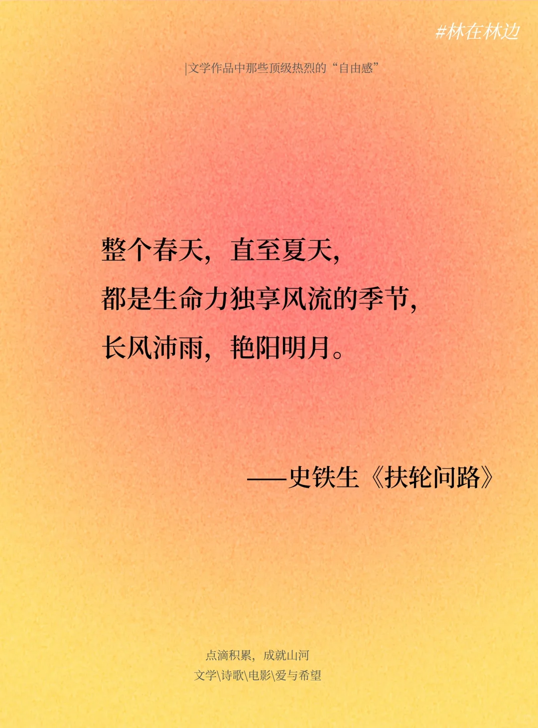 文学作品中那些顶级热烈的“自由感”~~