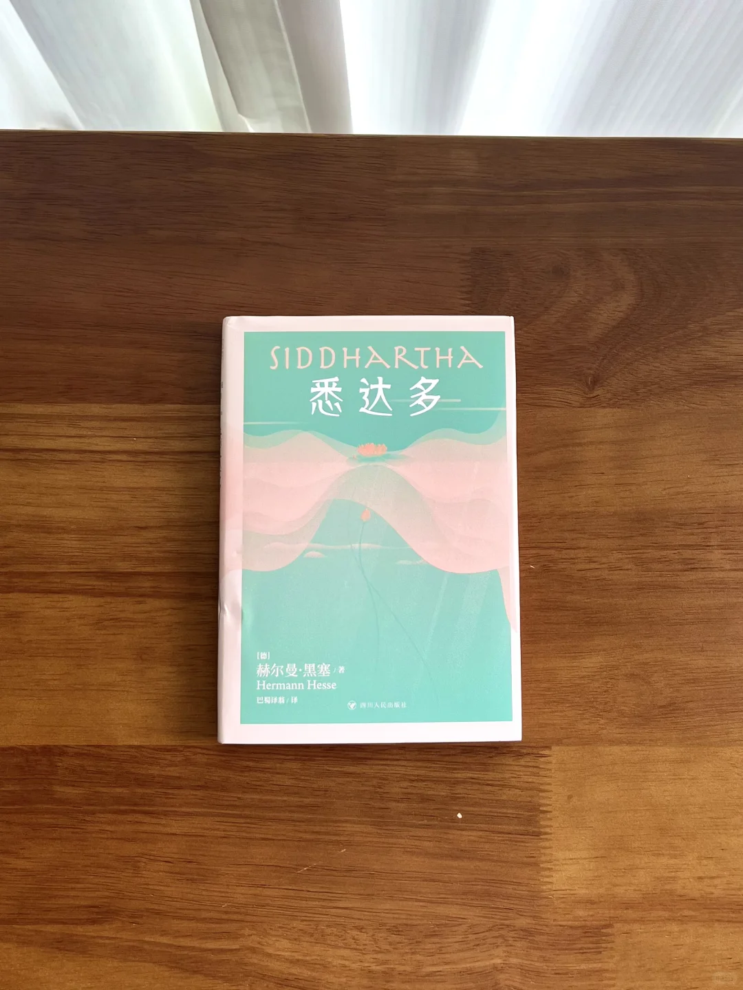 10.9真能治好精神内耗｜因为悉达多的禅意🪷