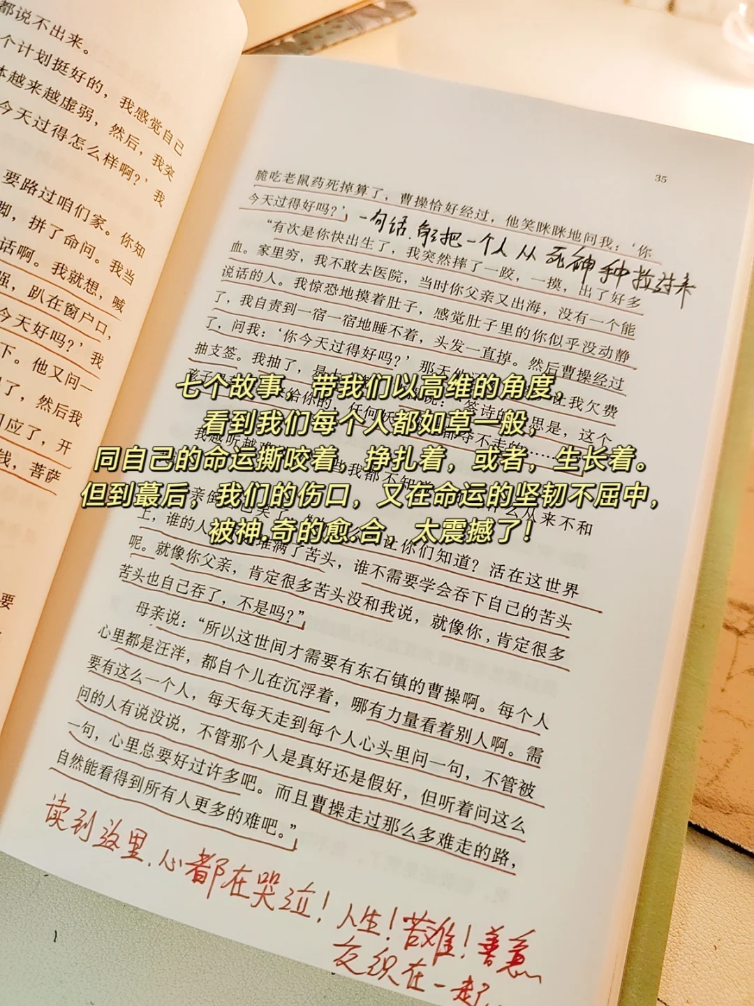 Pdd｜最近特别触动我的几本书！