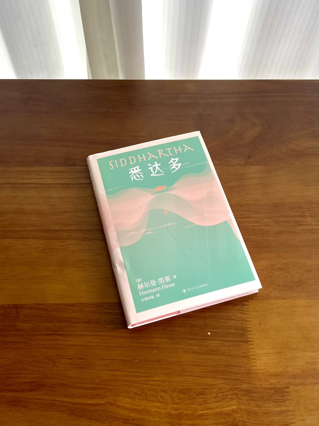 10.9真能治好精神内耗｜因为悉达多的禅意🪷