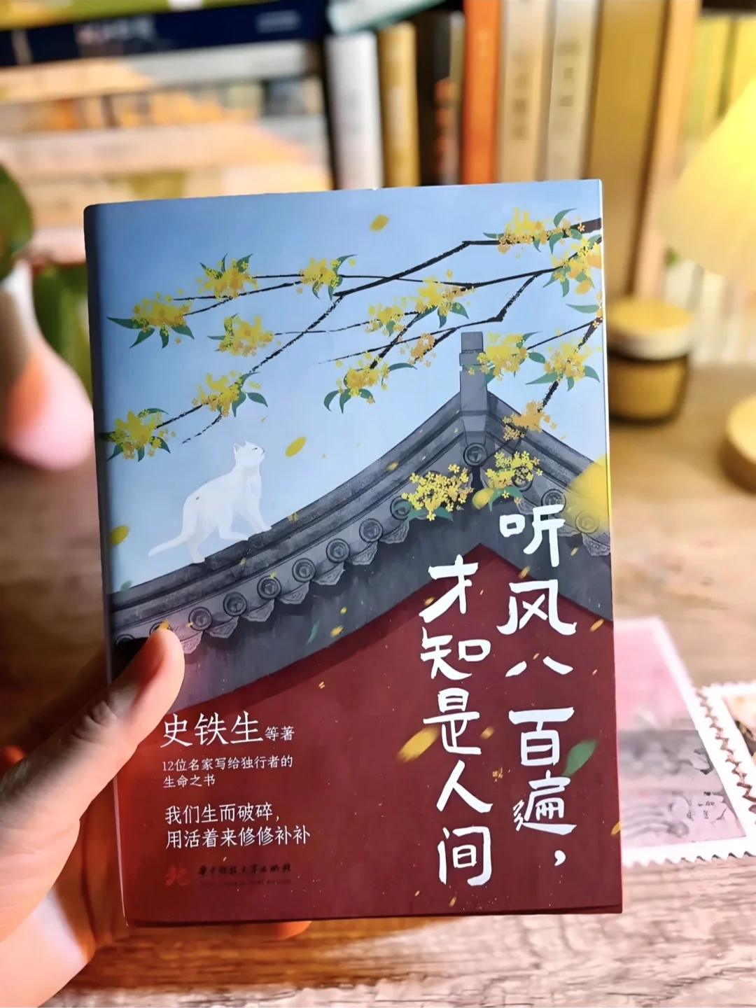 一定要读的书，央视都强烈推荐📚