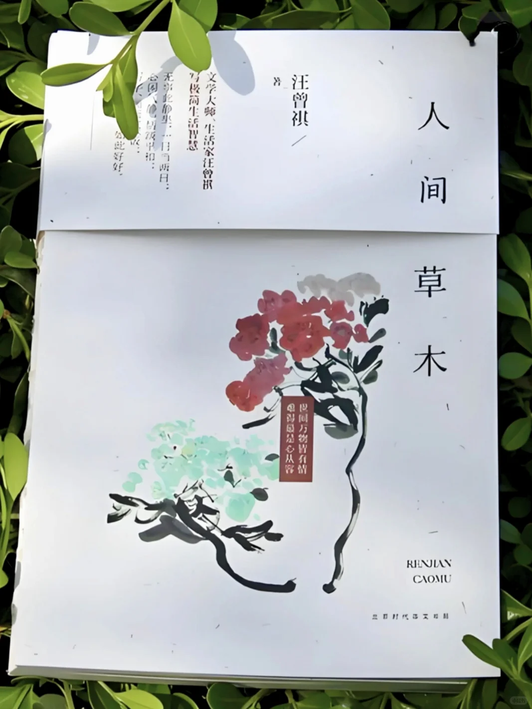 一定要读的书，央视都强烈推荐📚