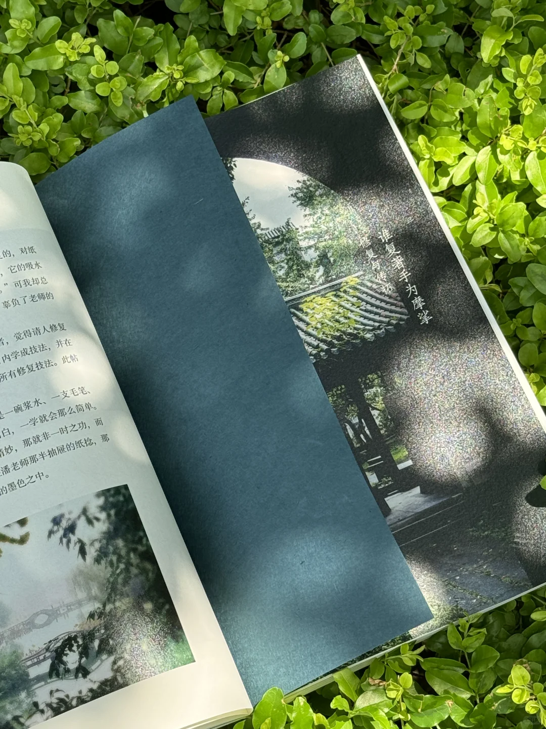 汪帆爆款新作「补书」‼️+超珍稀手工纸样