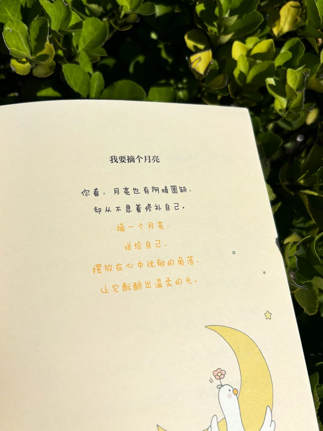 真的不内耗，人生就值得😭