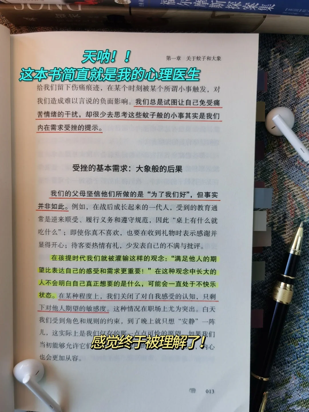 《靠在蝼蚁后面的大象》：一本关于情绪的书