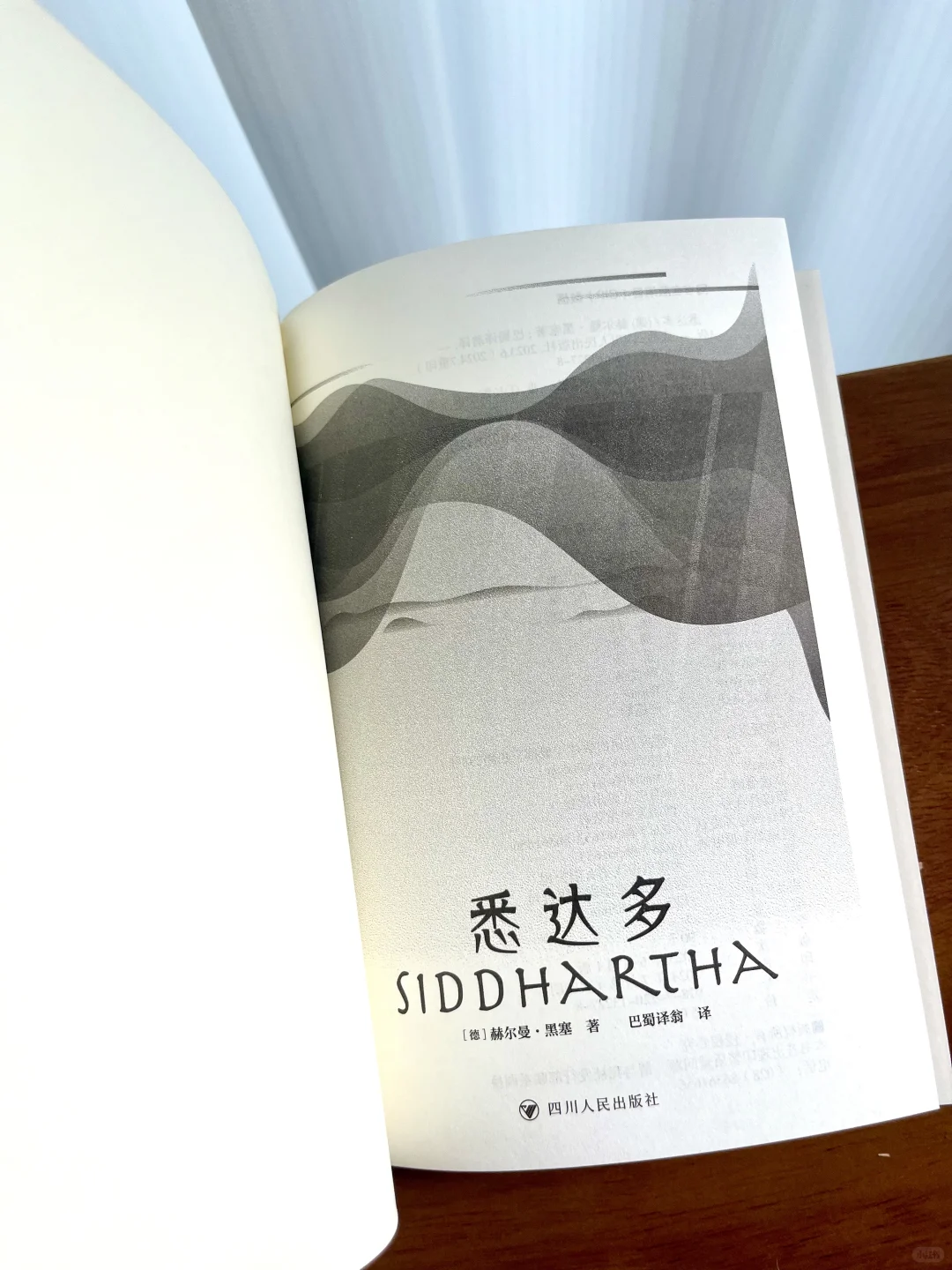 10.9真能治好精神内耗｜因为悉达多的禅意🪷