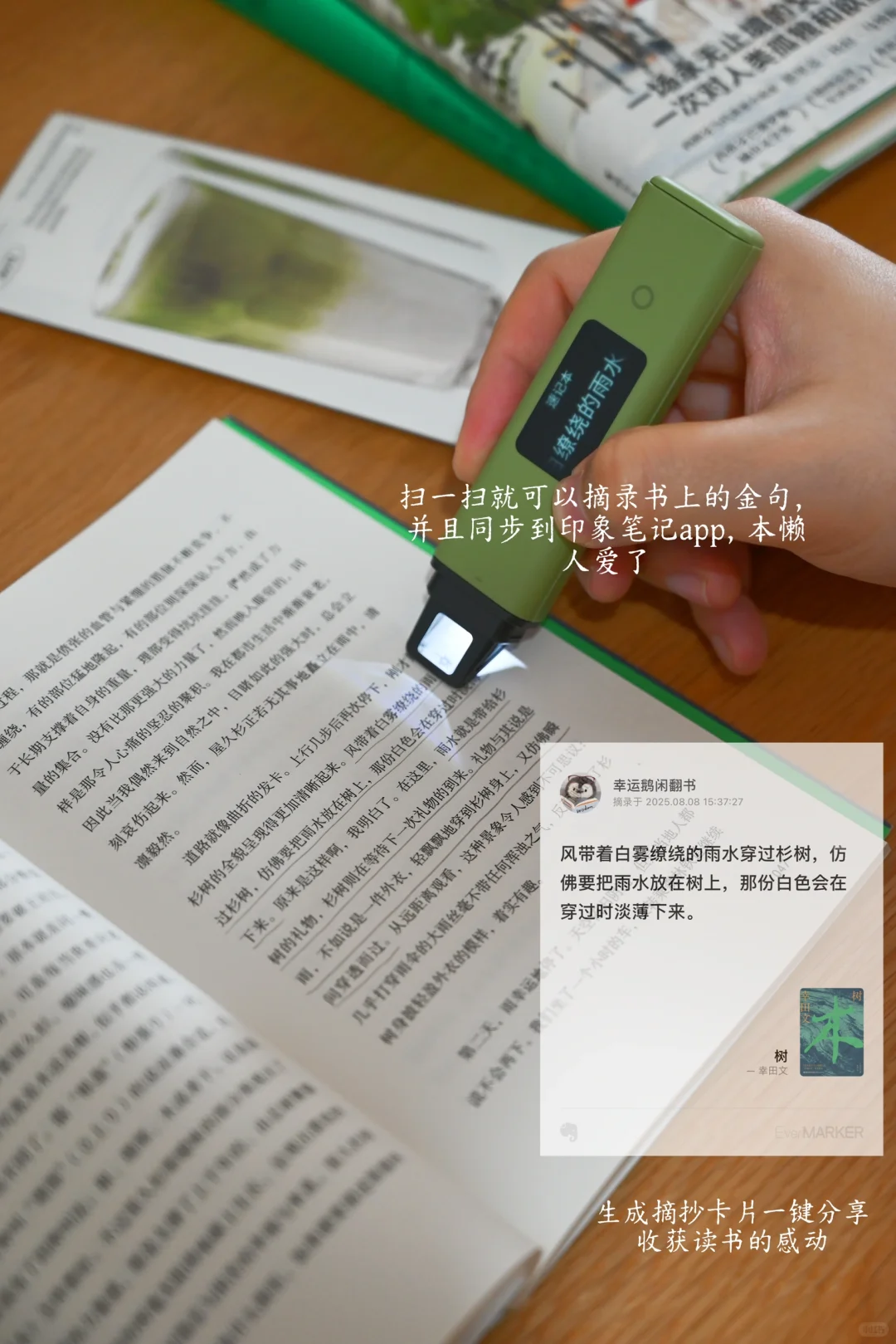 💚绿色书单｜绿人消暑计划