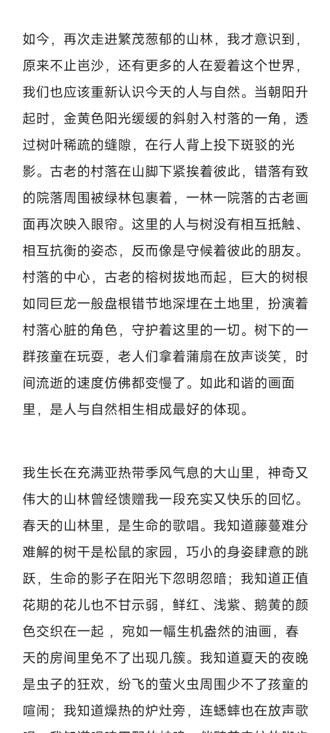 《月亮山上的一颗长青树》