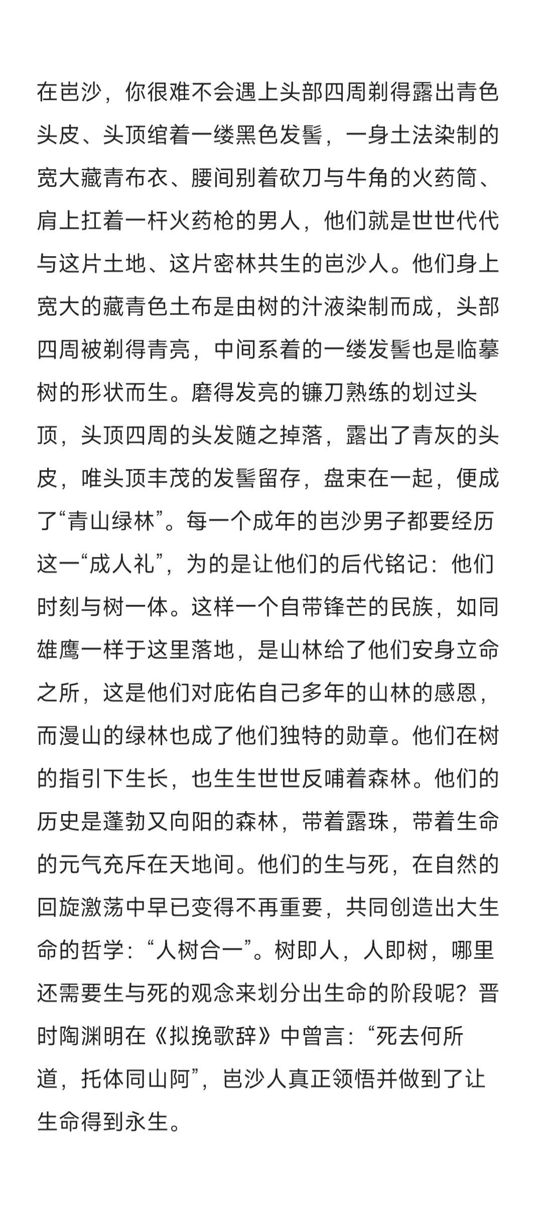 《月亮山上的一颗长青树》