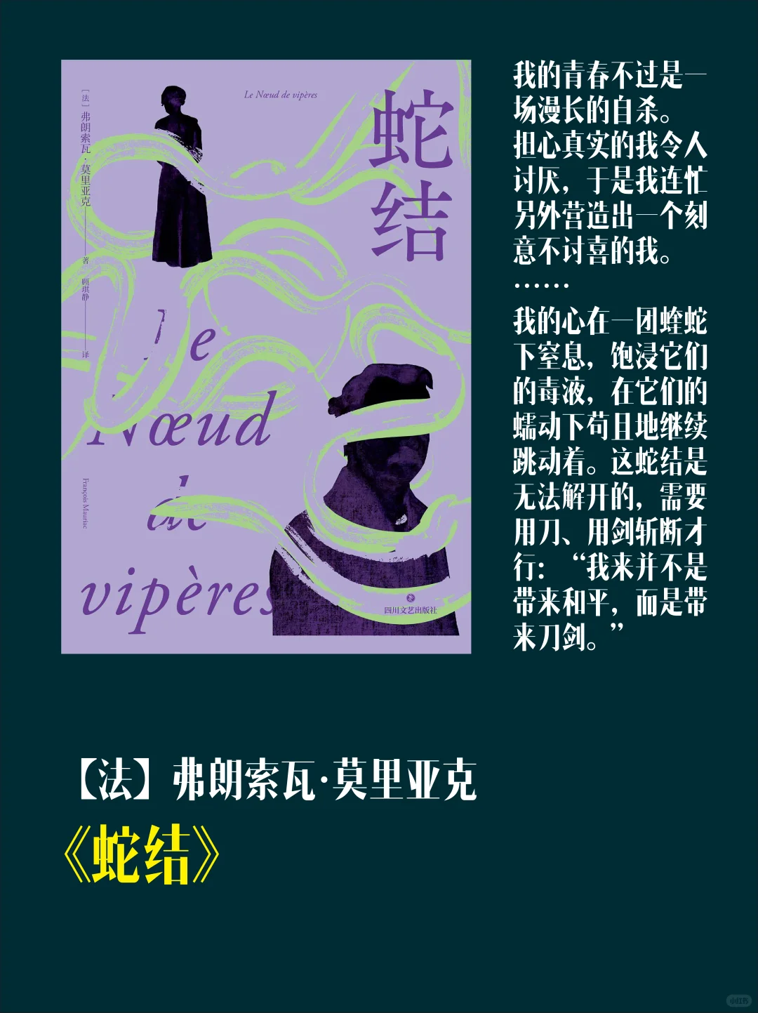 盛夏书单｜在书桌前捧起整个夏天🍃