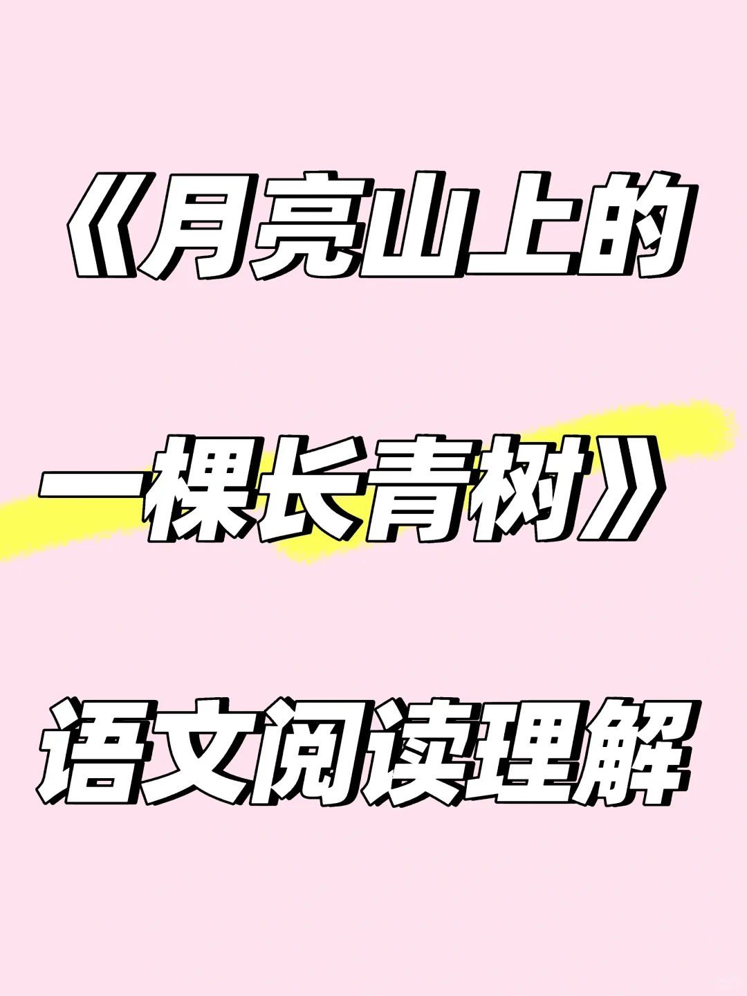 《月亮山上的一颗长青树》