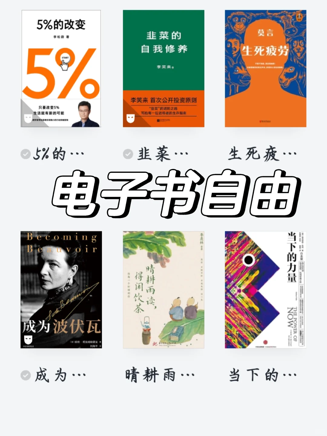 感谢小红书，电子书自由了