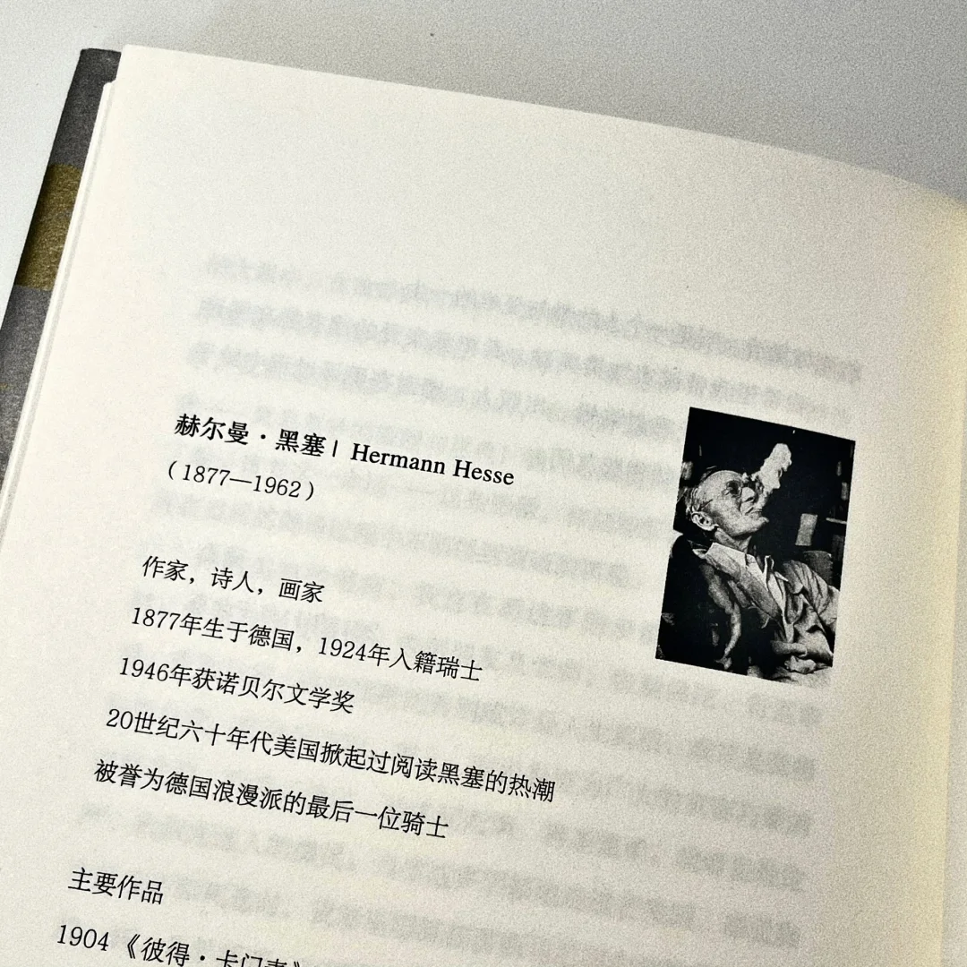 “释怀吧，朋友，不要因责备而伤害自己。”