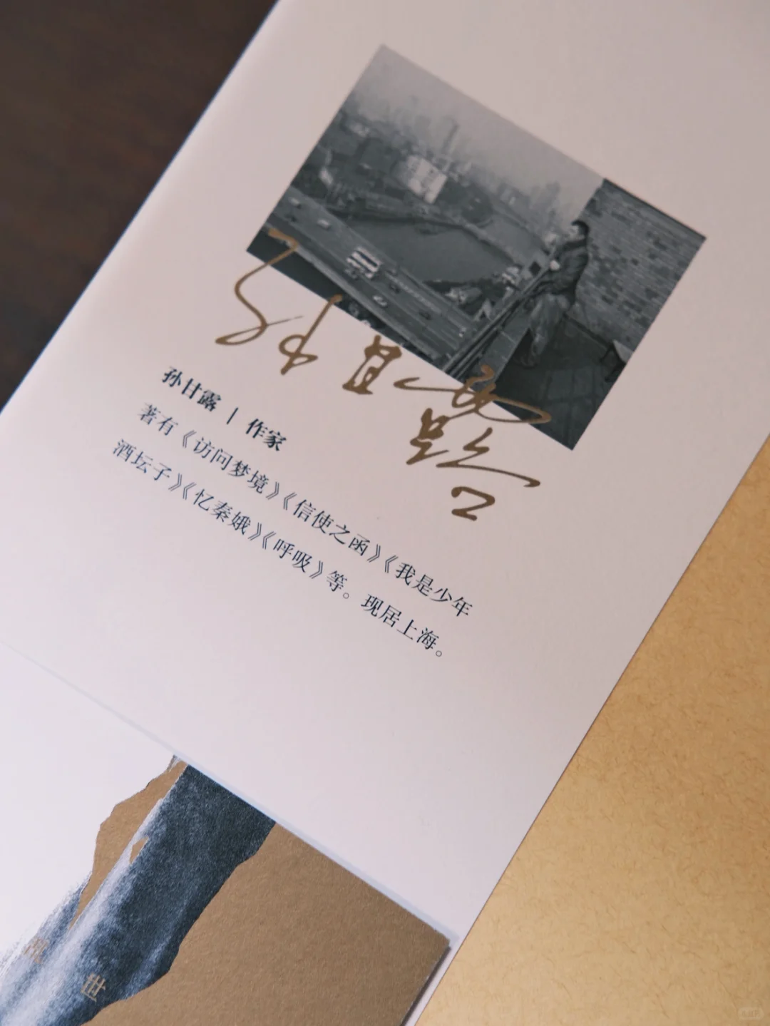茅奖作品《千里江山图》｜这书值得一个通宵‼️