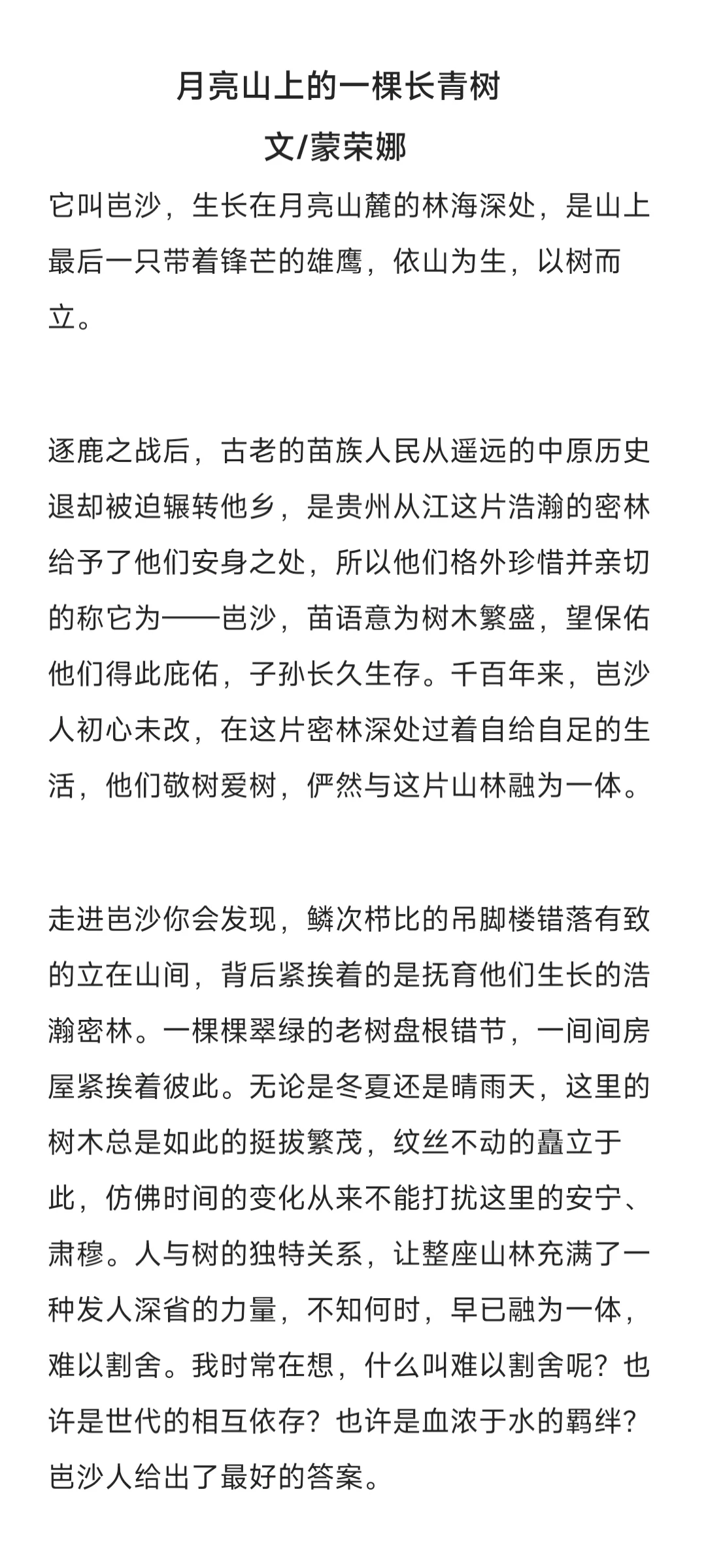 《月亮山上的一颗长青树》
