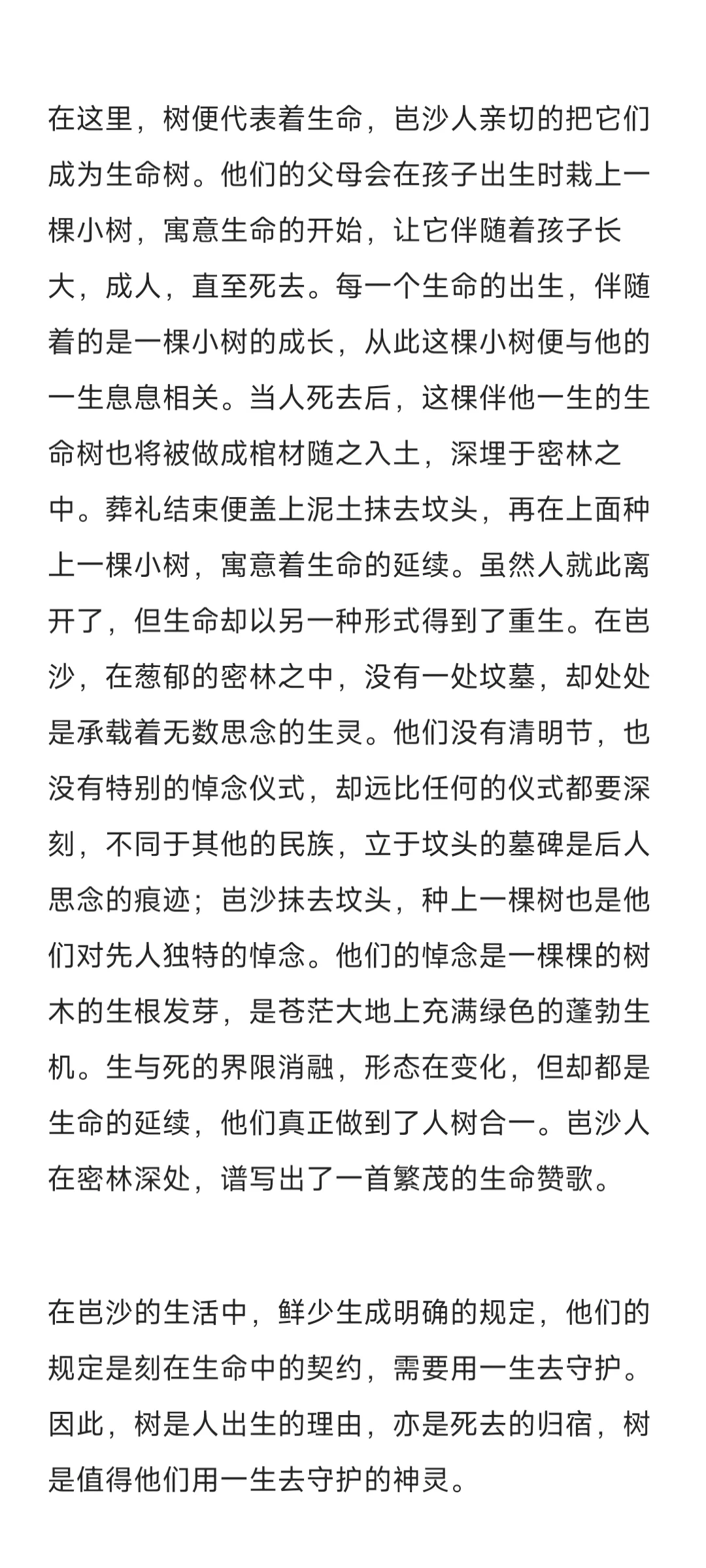 《月亮山上的一颗长青树》