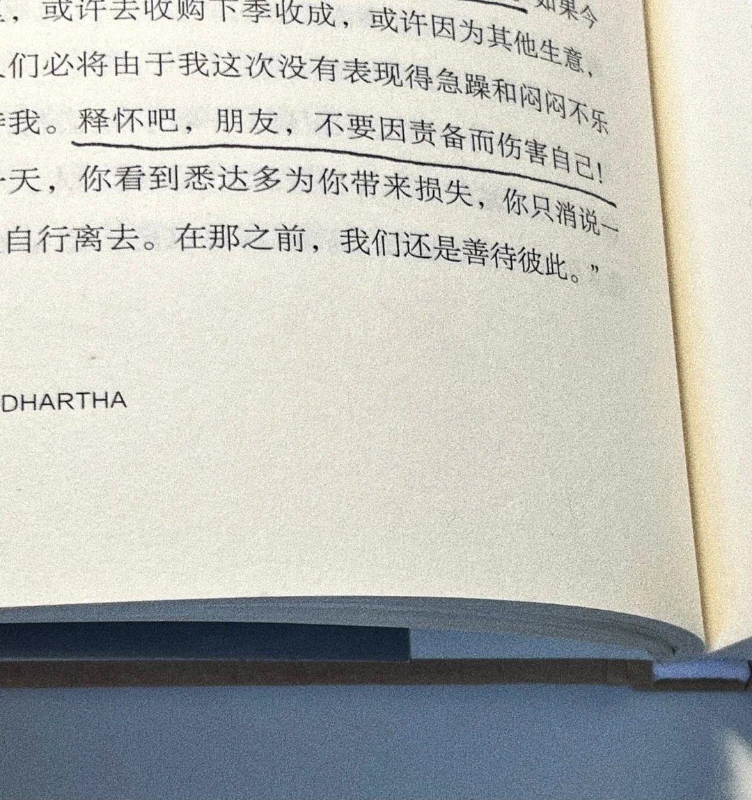 “释怀吧，朋友，不要因责备而伤害自己。”