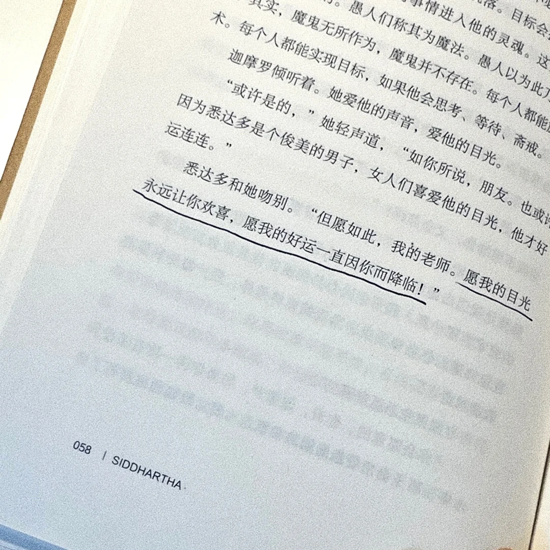 “释怀吧，朋友，不要因责备而伤害自己。”