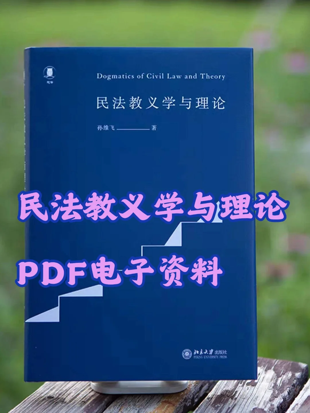 某法典的民法教义学与理论PDF电子版🔥