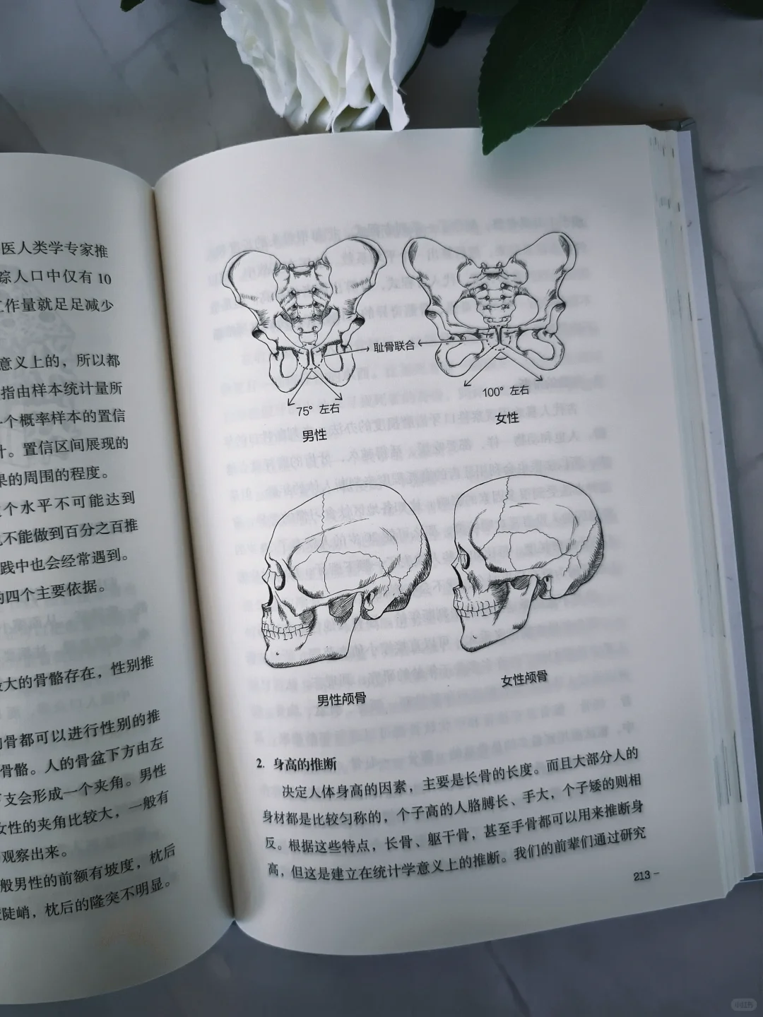 老秦新书📕一本读懂法医硬核知识‼️