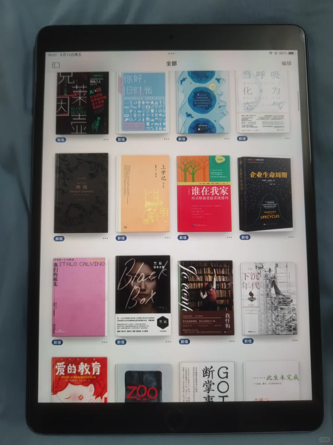 iPad变移动图书馆📚