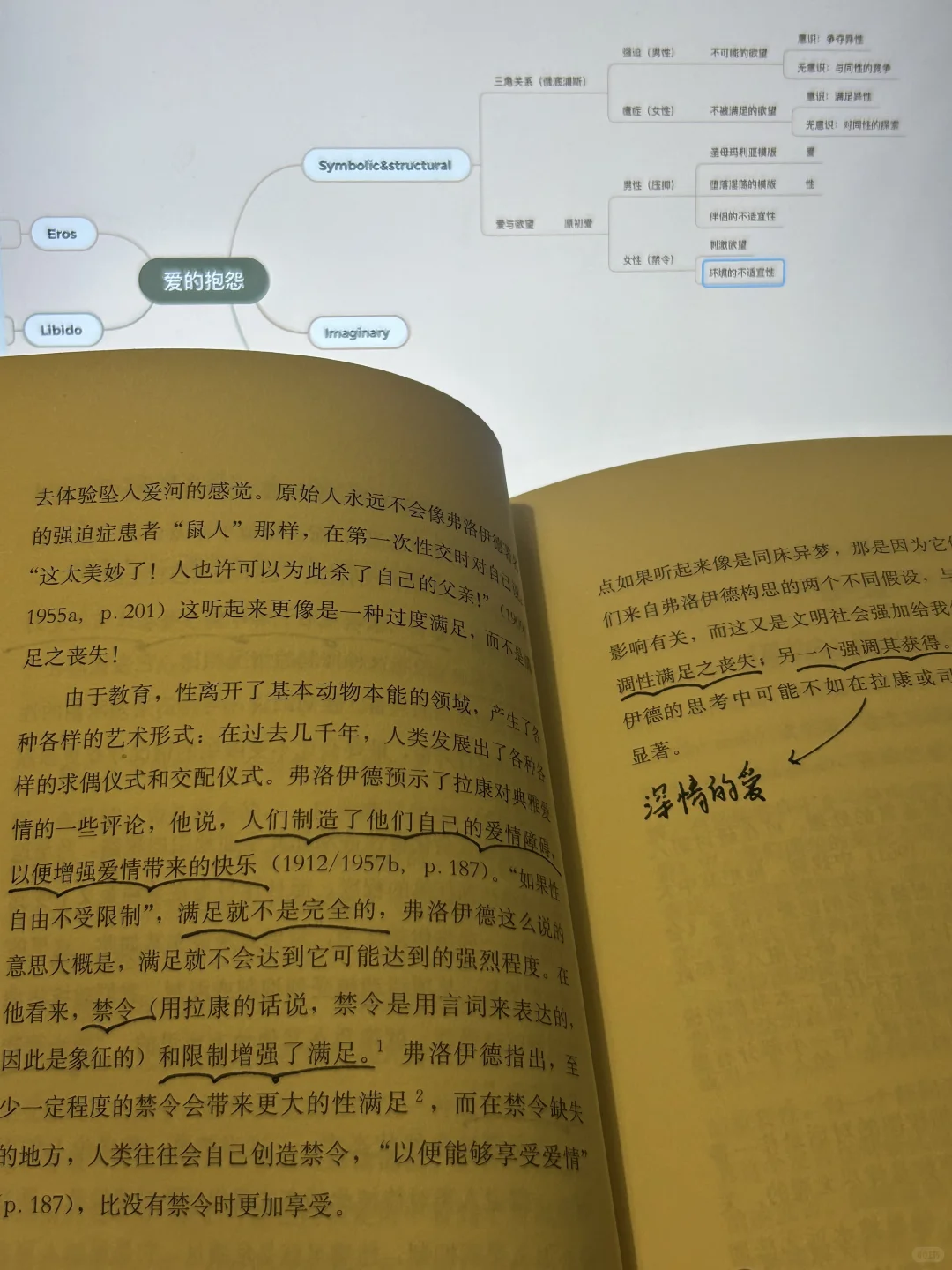 这本书真的太好看了，如果你也在思考爱