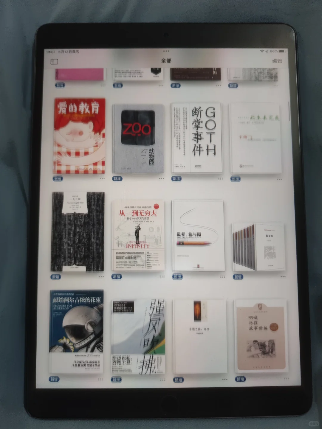 iPad变移动图书馆📚