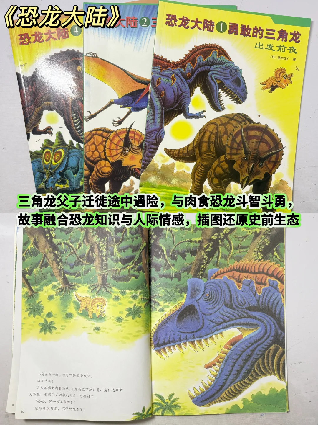 幼儿园三年儿子爱看的绘本（下）附书单