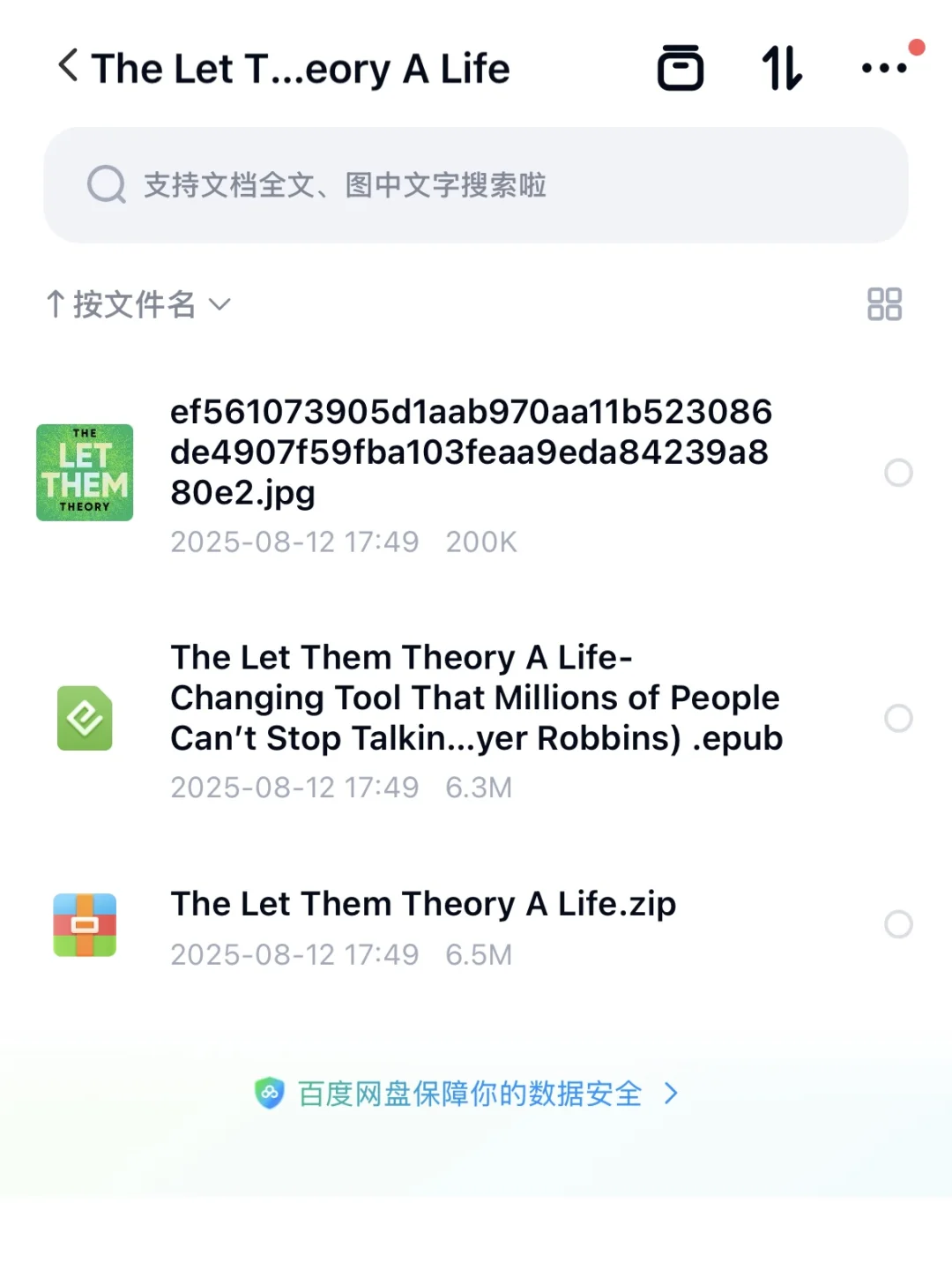 英文原版《The Let Them Theory》epub