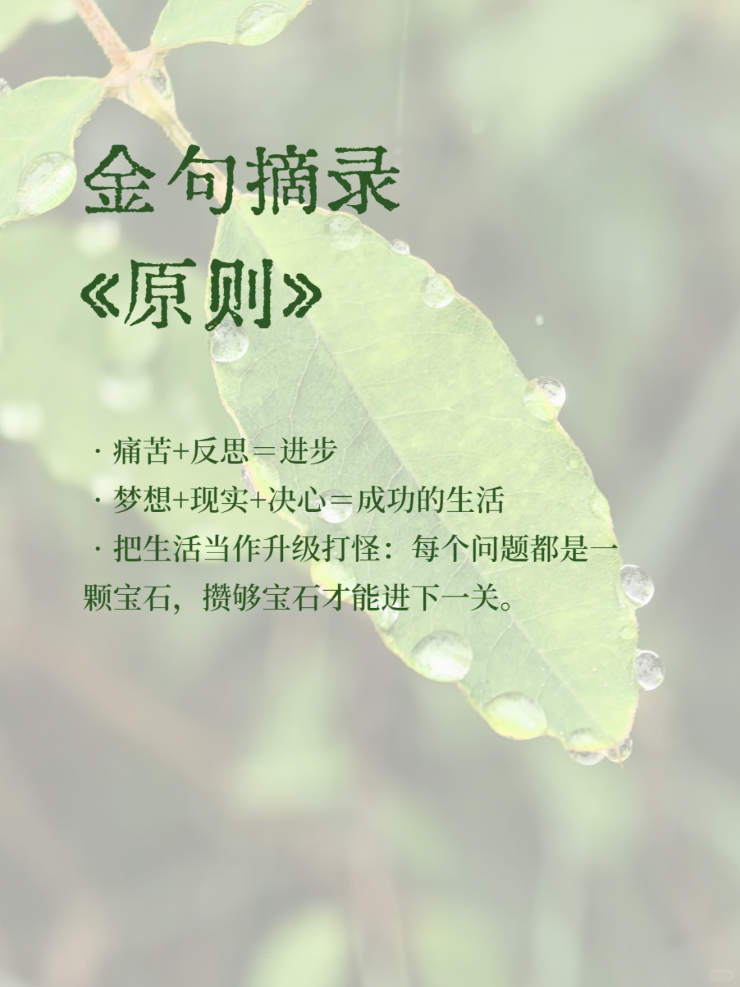 30 年HR蕞想蓷荐给年轻人的 5 本书