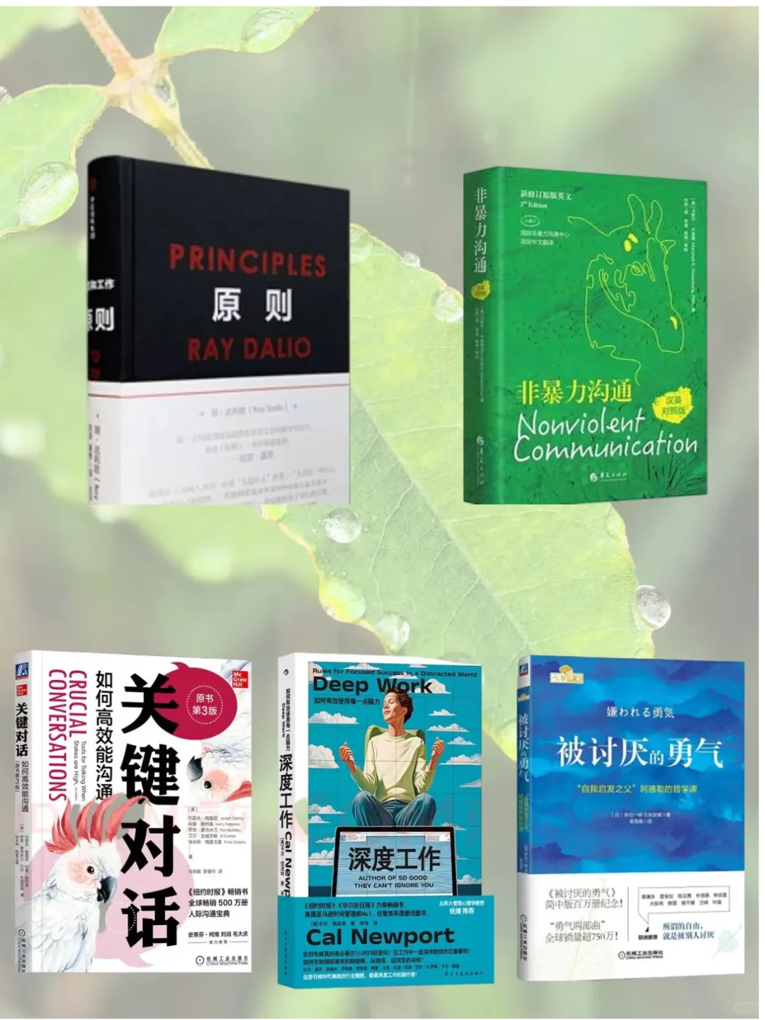 30 年HR蕞想蓷荐给年轻人的 5 本书
