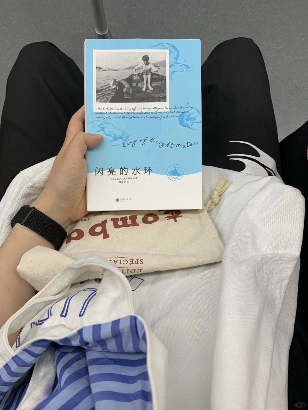 最近我在地铁上读什么「一份通勤书单」