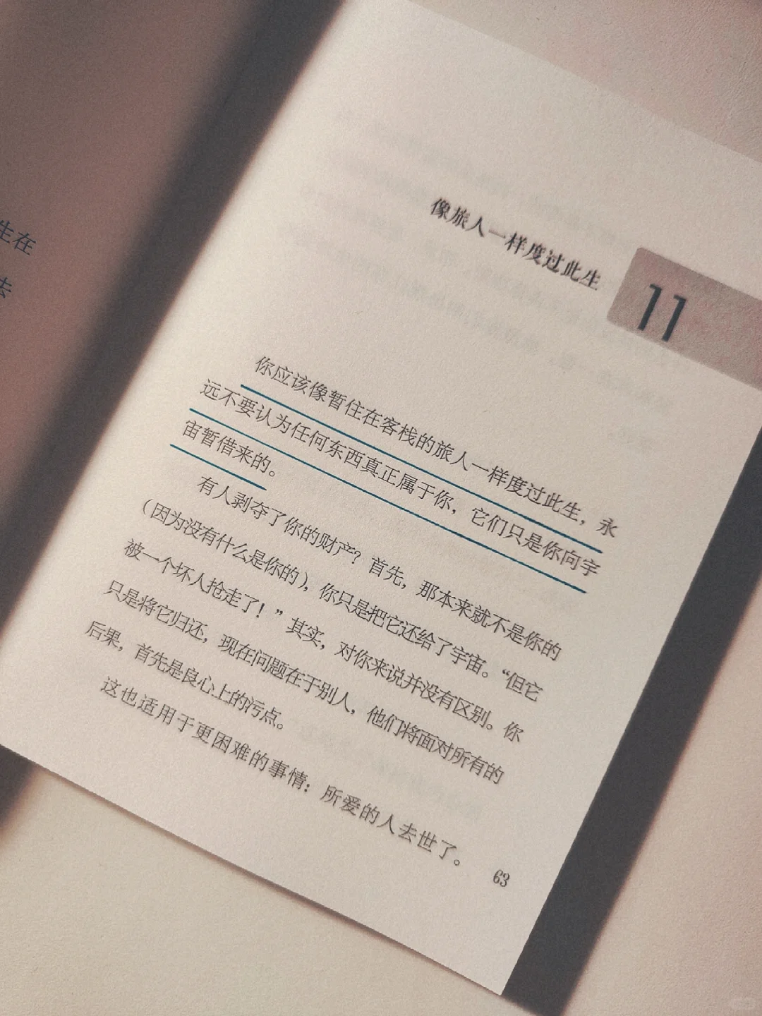 “你应该像暂住客栈的旅人一样度过此生”
