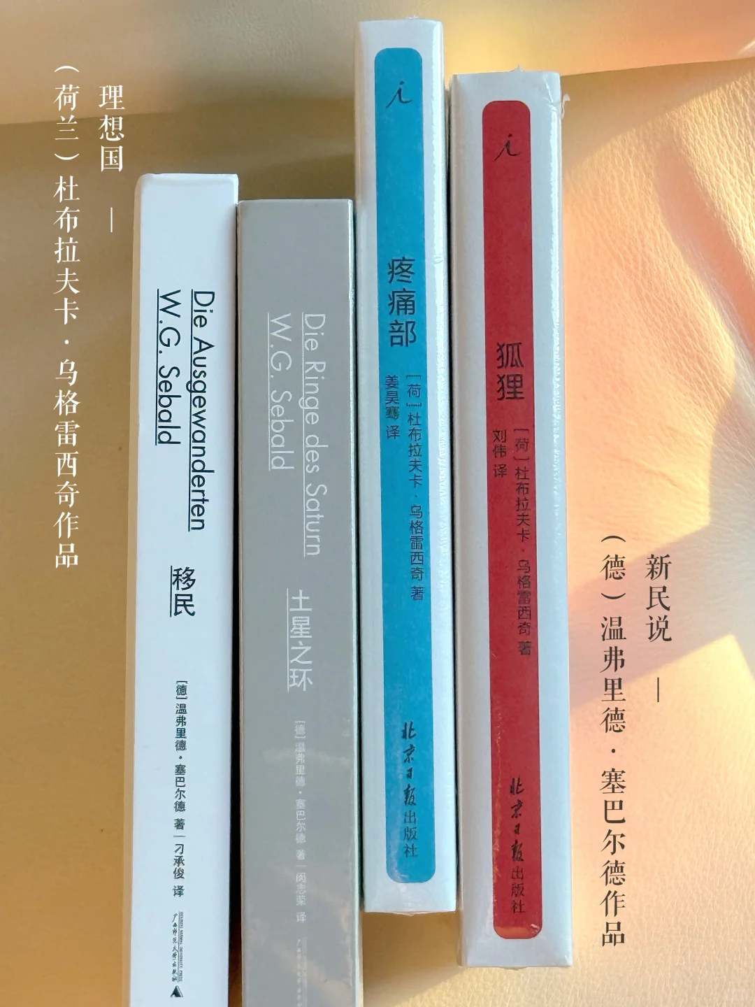 8月书单｜在现实与虚幻之间的轻量阅读 🪐