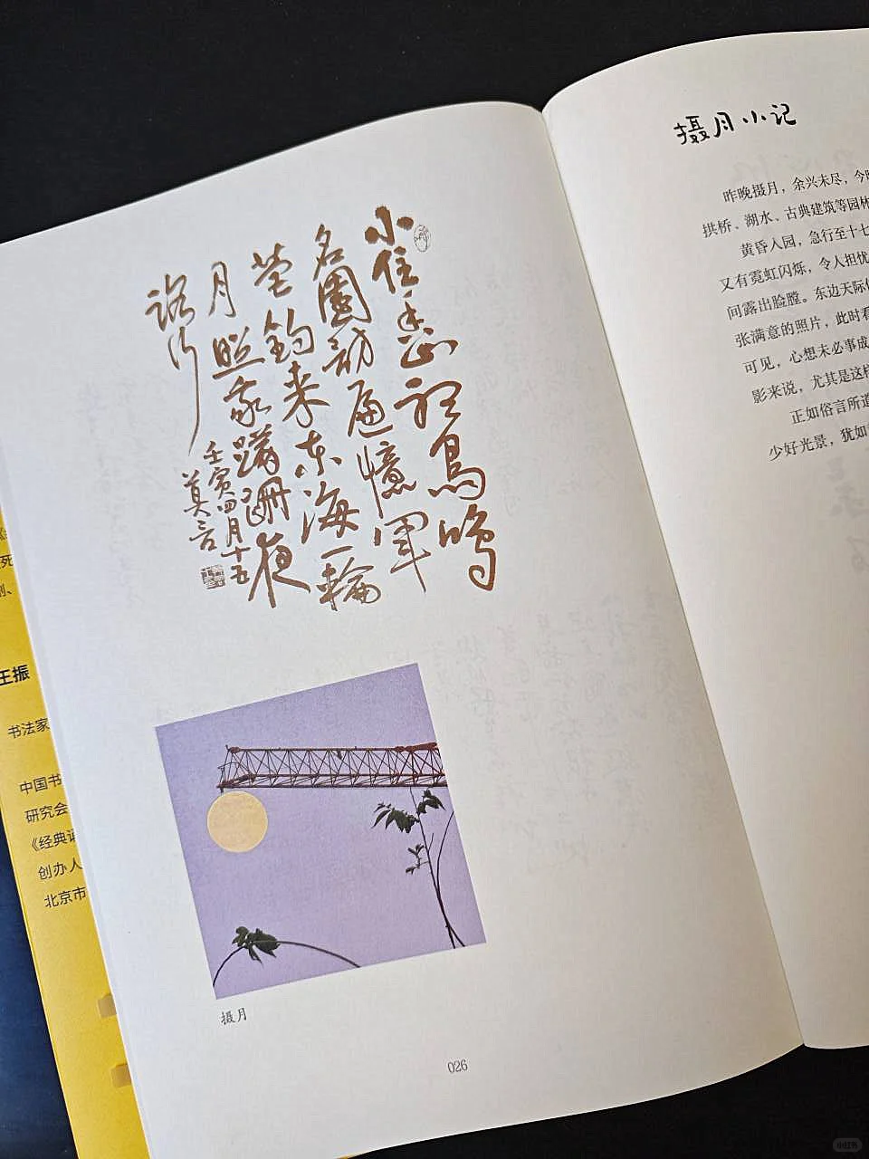 莫言新书｜每一种小确幸，都值得记录！