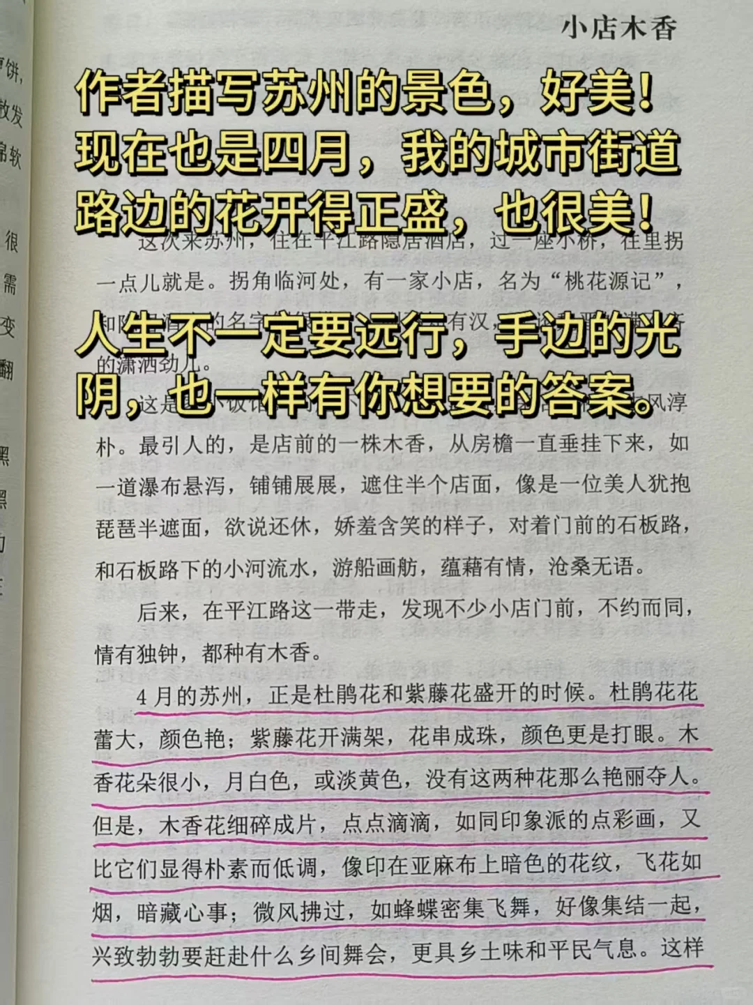 《正是橙黄橘绿时》｜温暖你的三餐和四季