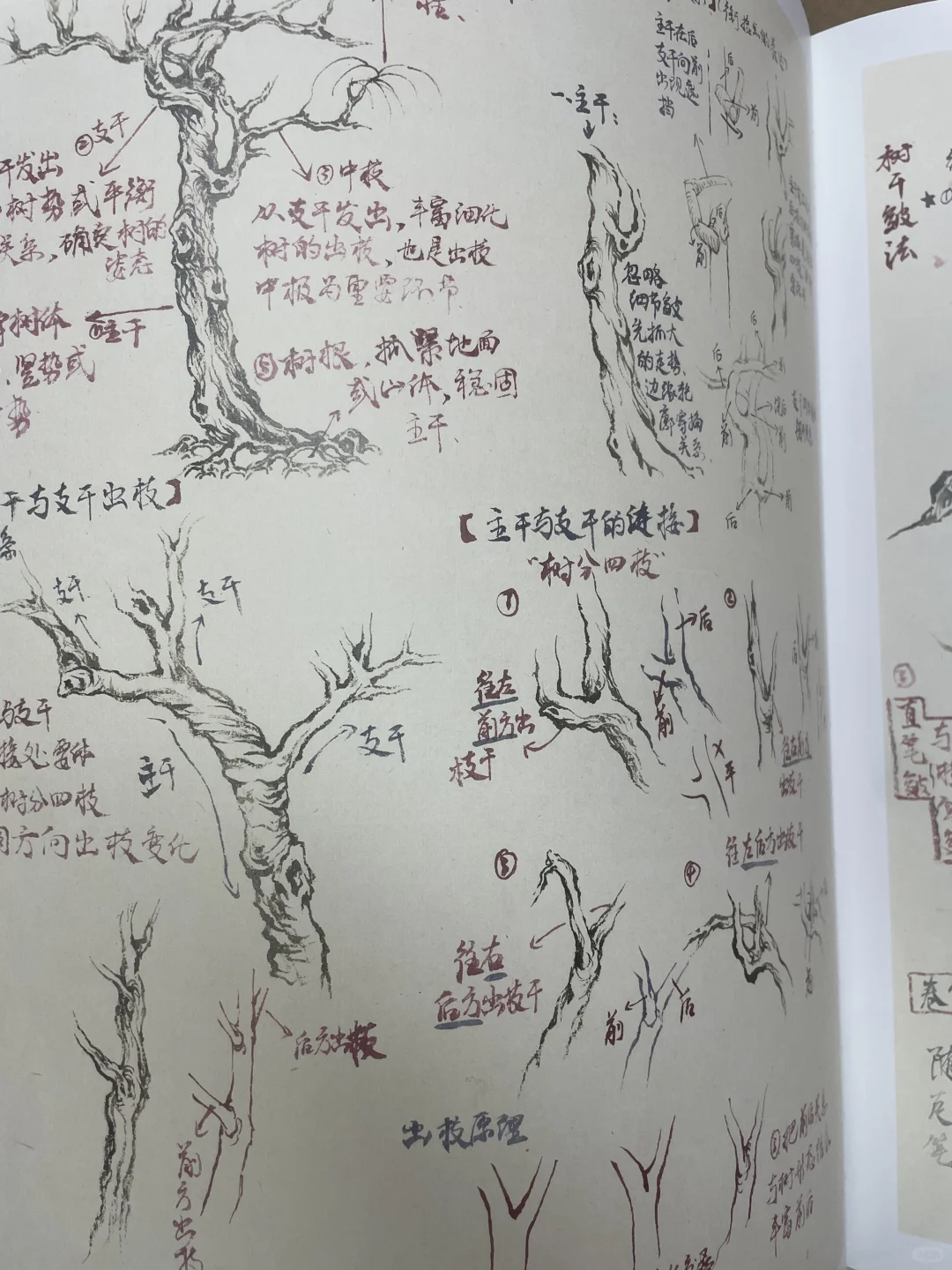 爆款新书，刷到即福利👇手慢无