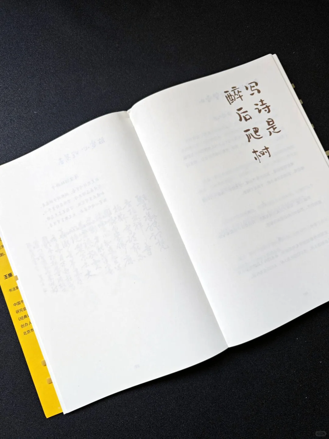 莫言新书｜每一种小确幸，都值得记录！