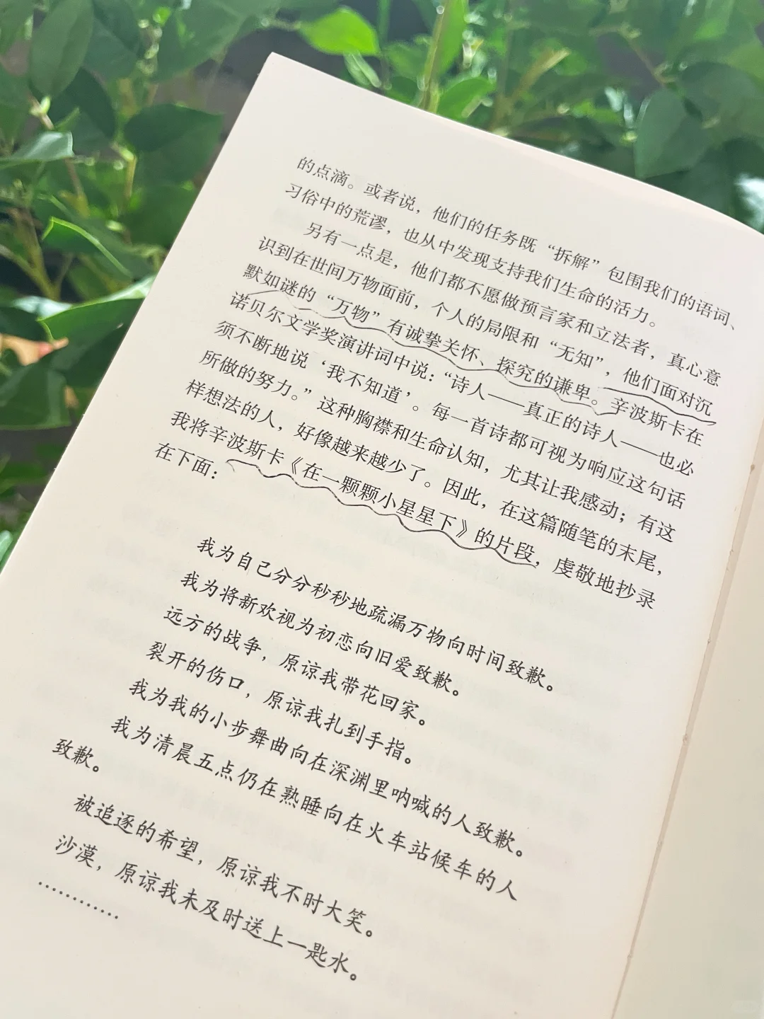 做喧嚣城市中阅读的＂慢读者＂｜文学的阅读
