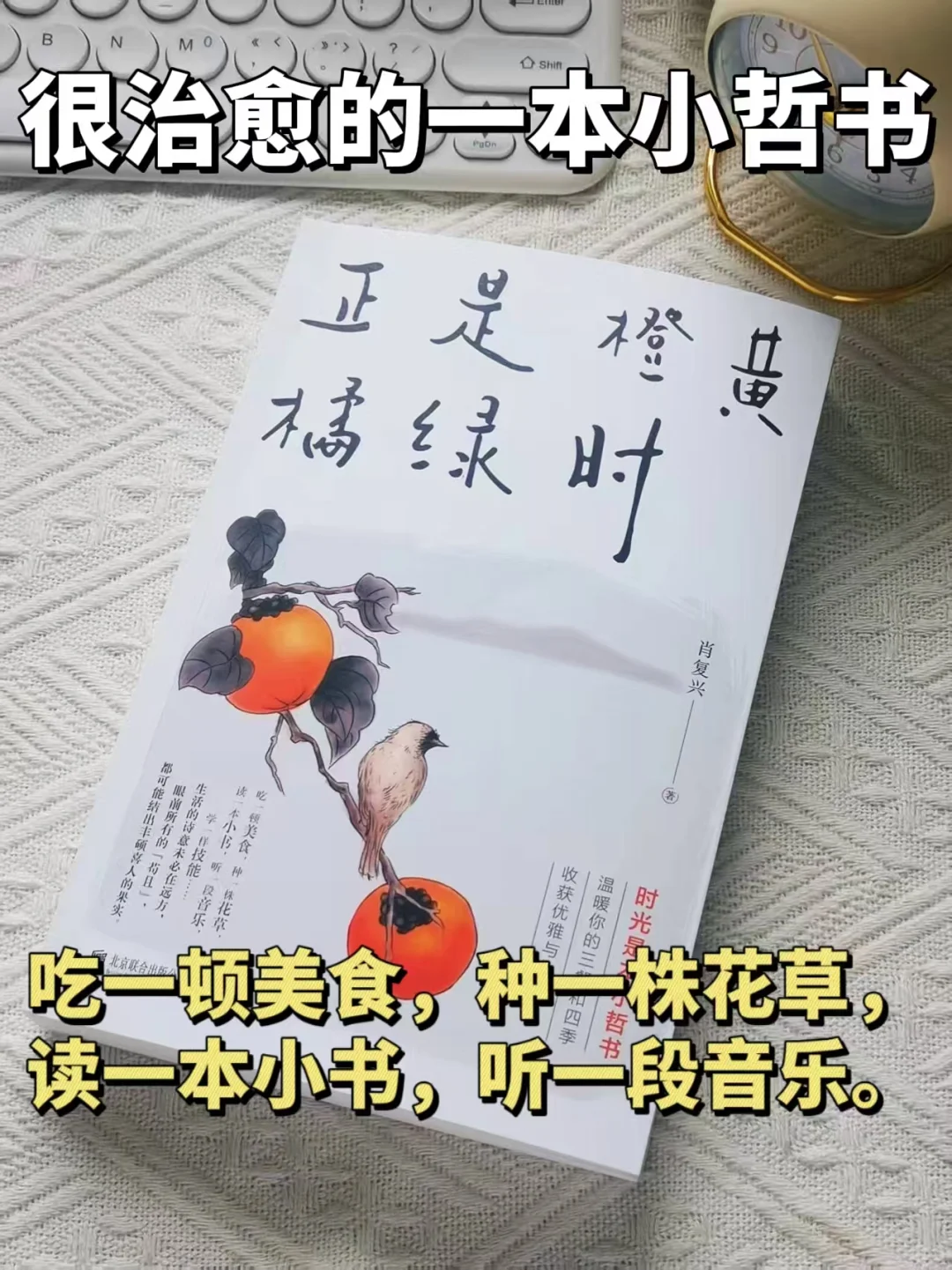 《正是橙黄橘绿时》｜温暖你的三餐和四季