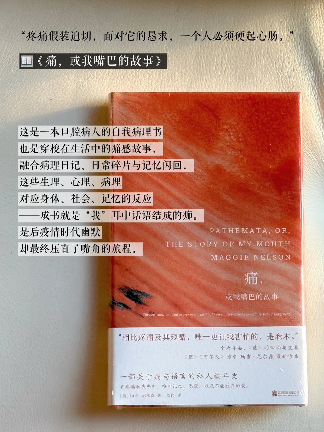 8月书单｜在现实与虚幻之间的轻量阅读 🪐