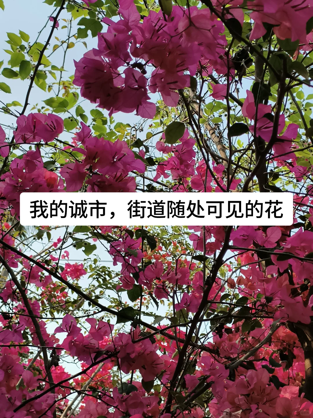 《正是橙黄橘绿时》｜温暖你的三餐和四季